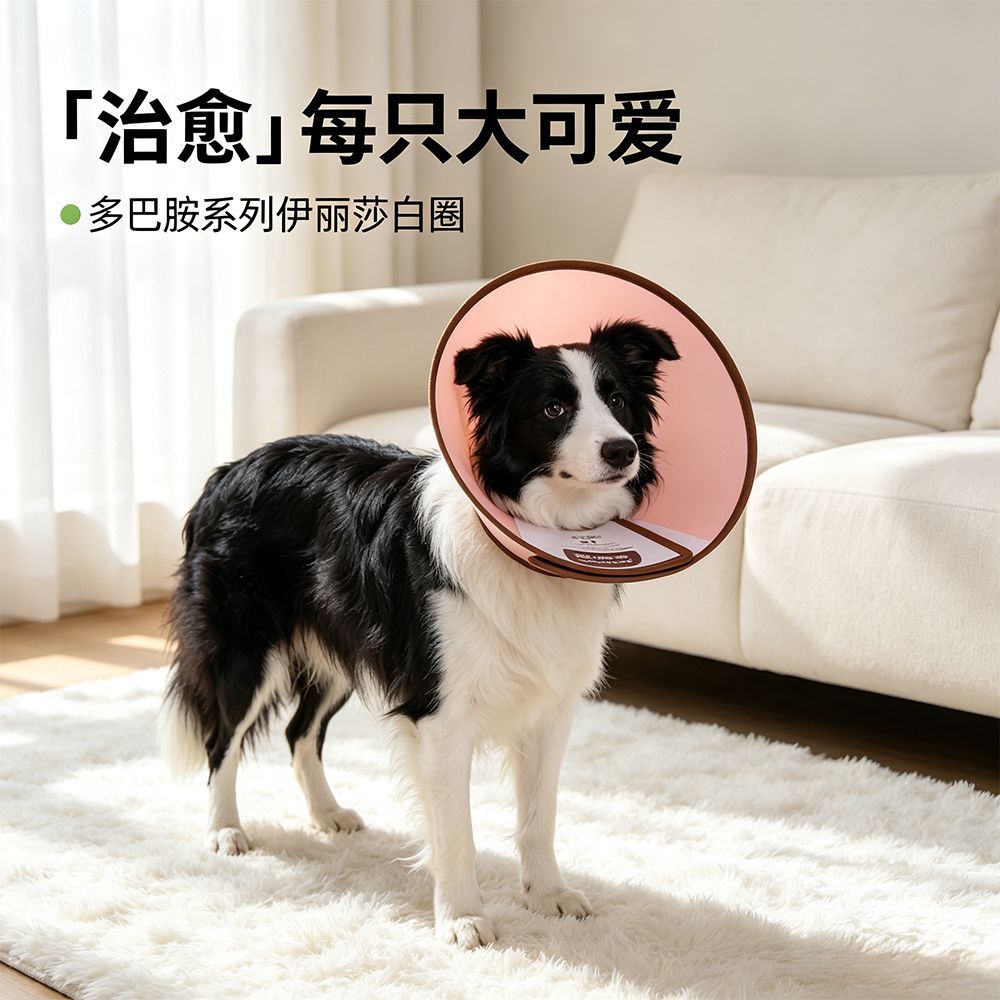 商品缩略图 2