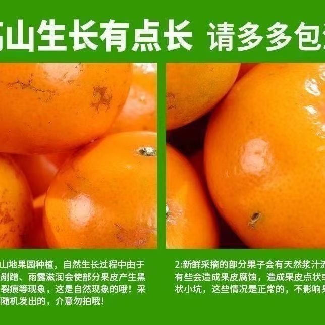 5斤新鲜沃柑正宗云南柑橘当季新鲜甜桔子新鲜水果橘子整箱批发 图片 9