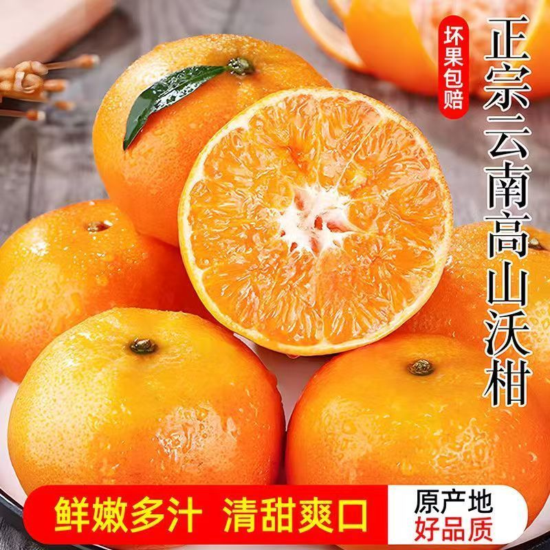 5斤新鲜沃柑正宗云南柑橘当季新鲜甜桔子新鲜水果橘子整箱批发 图片 4