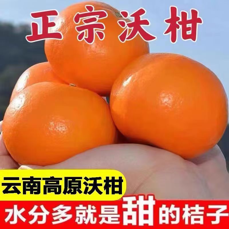 5斤新鲜沃柑正宗云南柑橘当季新鲜甜桔子新鲜水果橘子整箱批发 图片 3