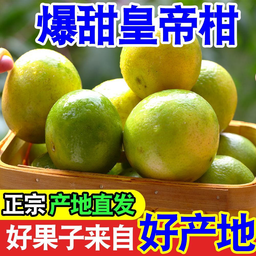 现摘广西皇帝柑应季新鲜水果整箱薄皮桔子贡柑黄帝柑橘子批发10斤