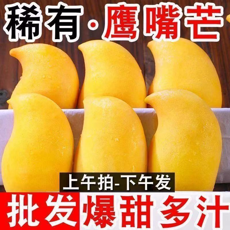 【精选鹰嘴芒果】云南鹰嘴芒热带水果新鲜当季芒果大果当季非台芒