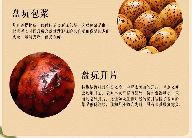 普陀山星月菩提手串108颗女士念珠盘玩高密佛珠文玩手链项链男士 detail 15