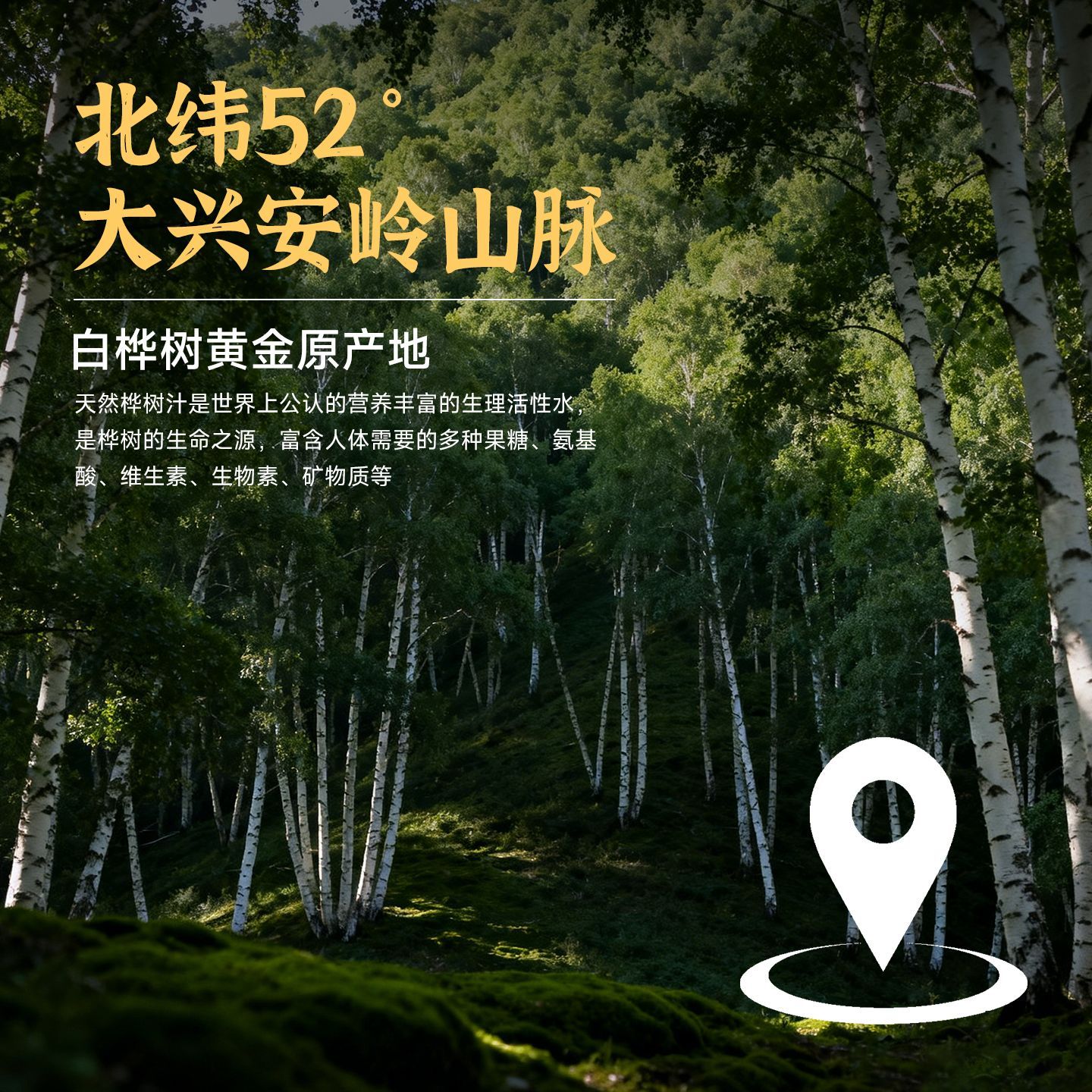 葡口100%白桦树汁植物饮料0脂肪清爽甘甜解渴健康饮品238ml*10瓶 图片 2