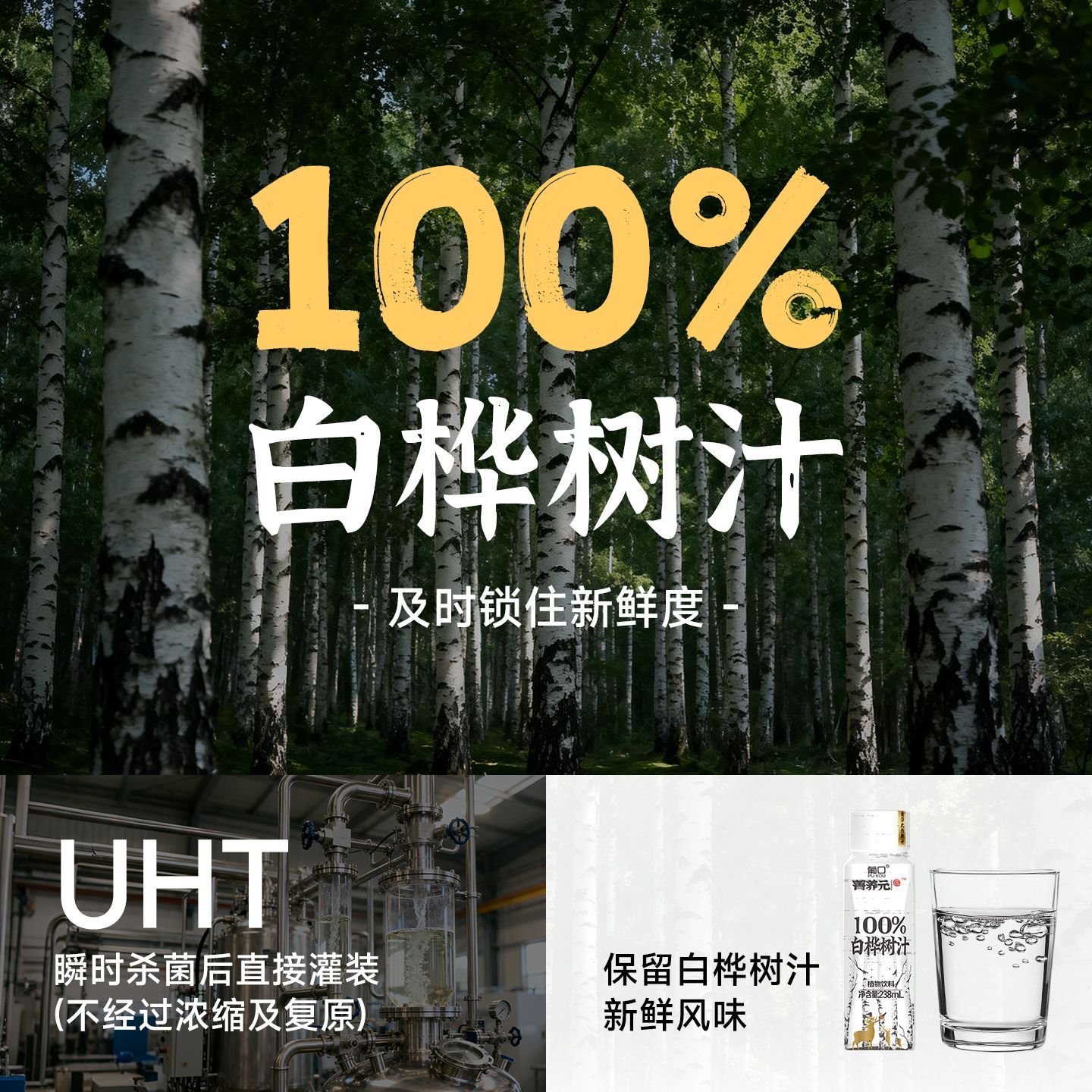 葡口100%白桦树汁植物饮料0脂肪清爽甘甜解渴健康饮品238ml*10瓶 图片 4