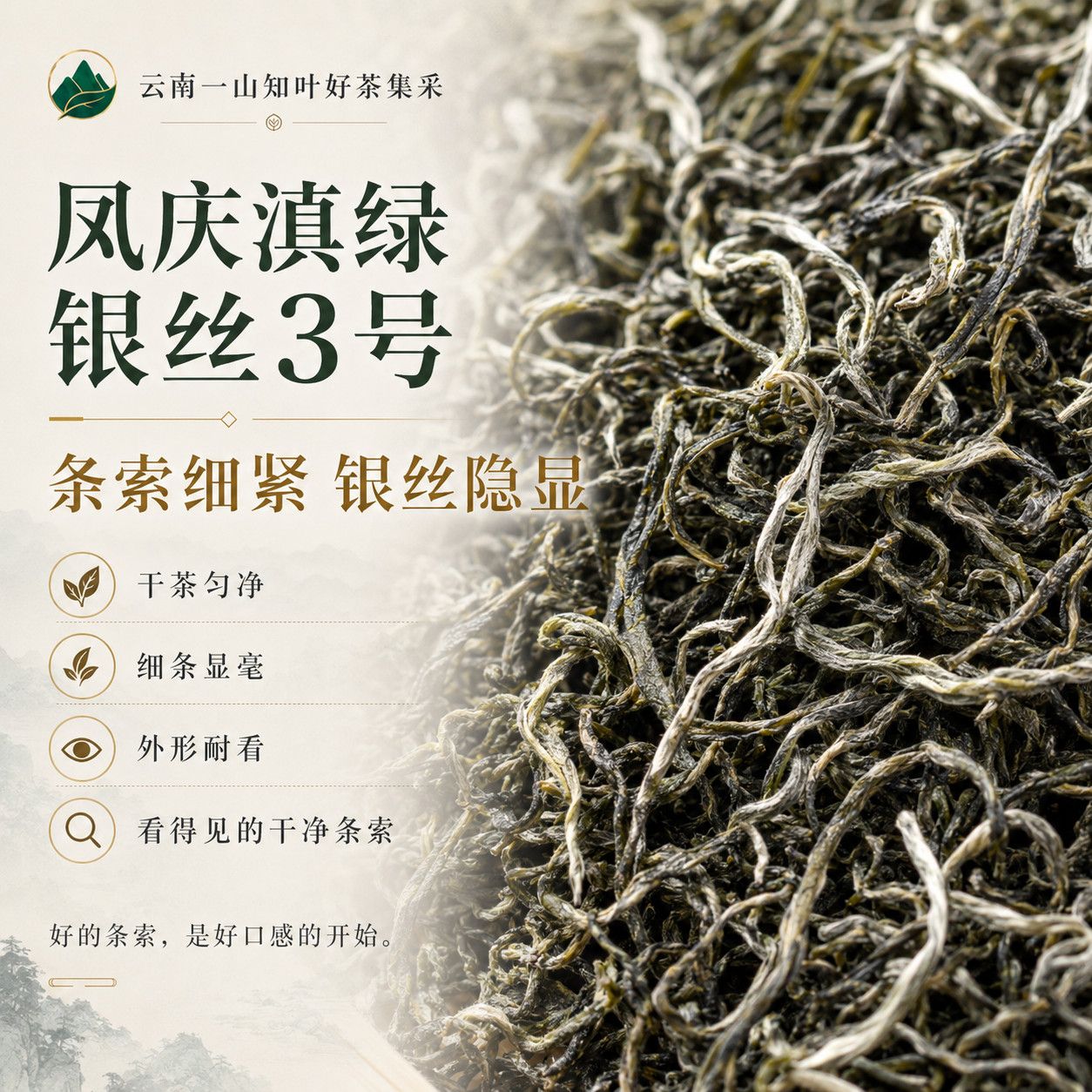 「云南一山知叶滇红抄底好茶」银丝三号高档清香手工特级凤庆滇绿