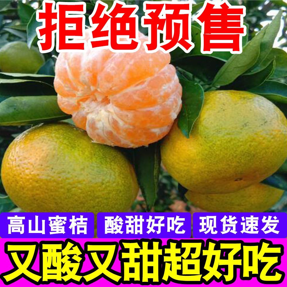【彩箱】云南青皮蜜桔蜜橘子当季新鲜孕妇水果桔子超酸甜薄皮批发