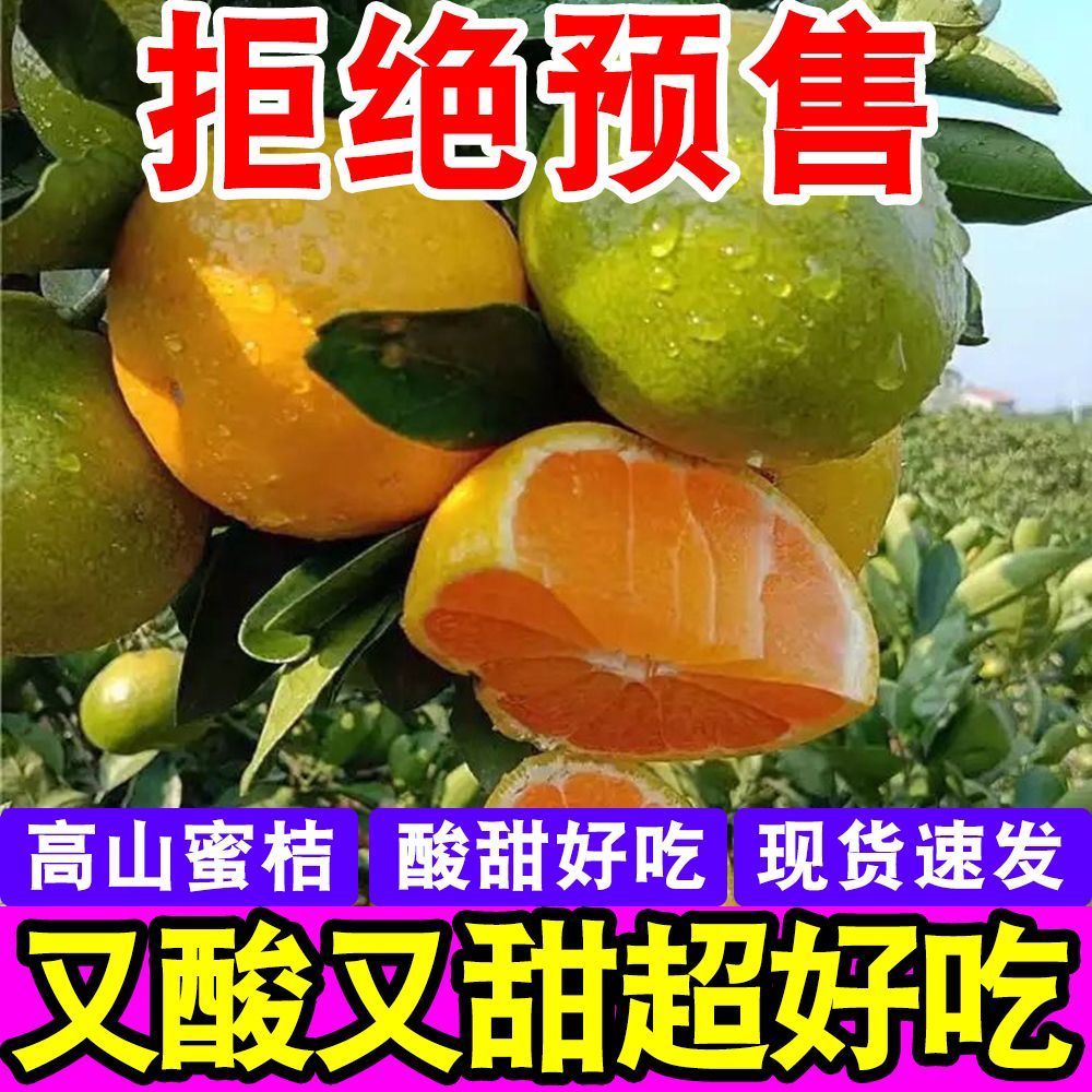 【彩箱】云南青皮蜜桔蜜橘子当季新鲜孕妇水果桔子超酸甜薄皮批发