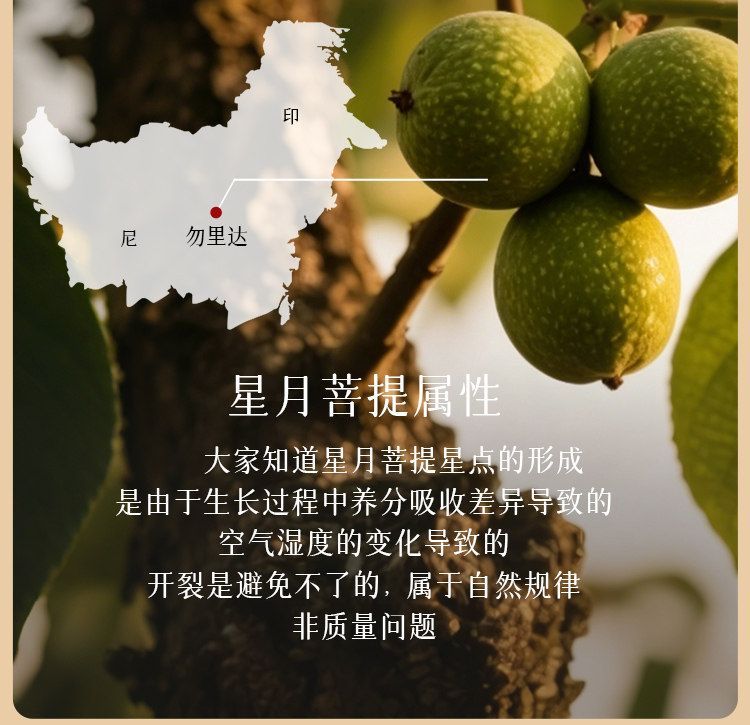普陀山108颗星月菩提手串女多圈收藏级海南原籽盘玩手链招财礼物 detail 2