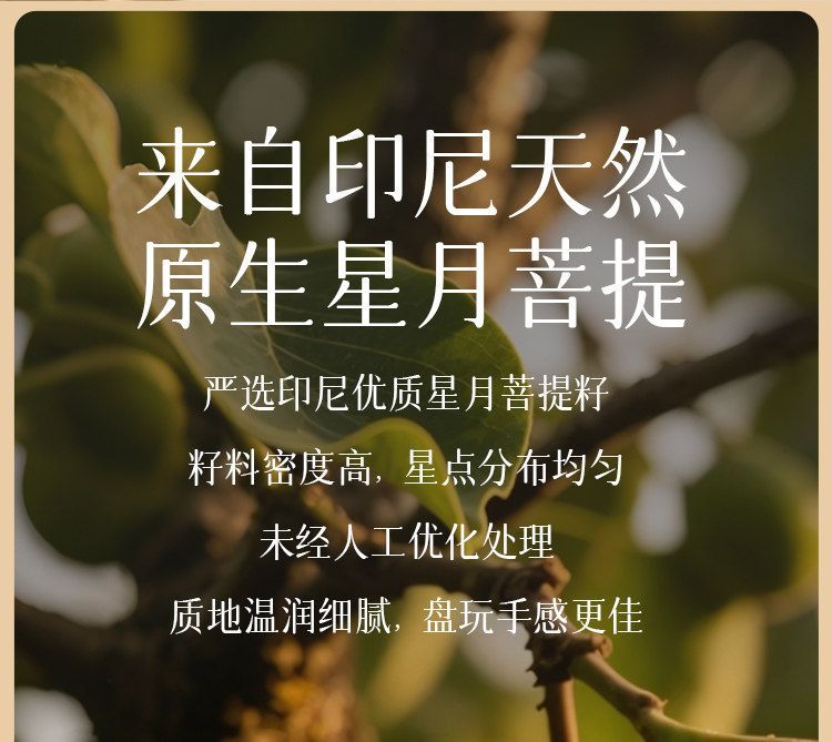 普陀山108颗星月菩提手串女多圈收藏级海南原籽盘玩手链招财礼物 detail 1