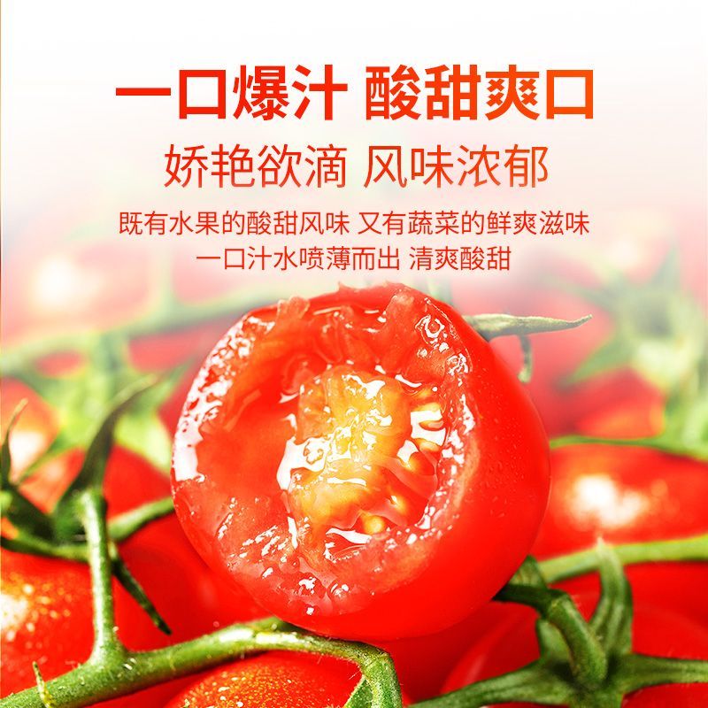东方甄选串收小番茄(红色) 酸甜多汁 坏果包赔 图片 2