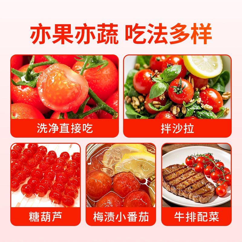 东方甄选串收小番茄(红色) 酸甜多汁 坏果包赔 图片 4