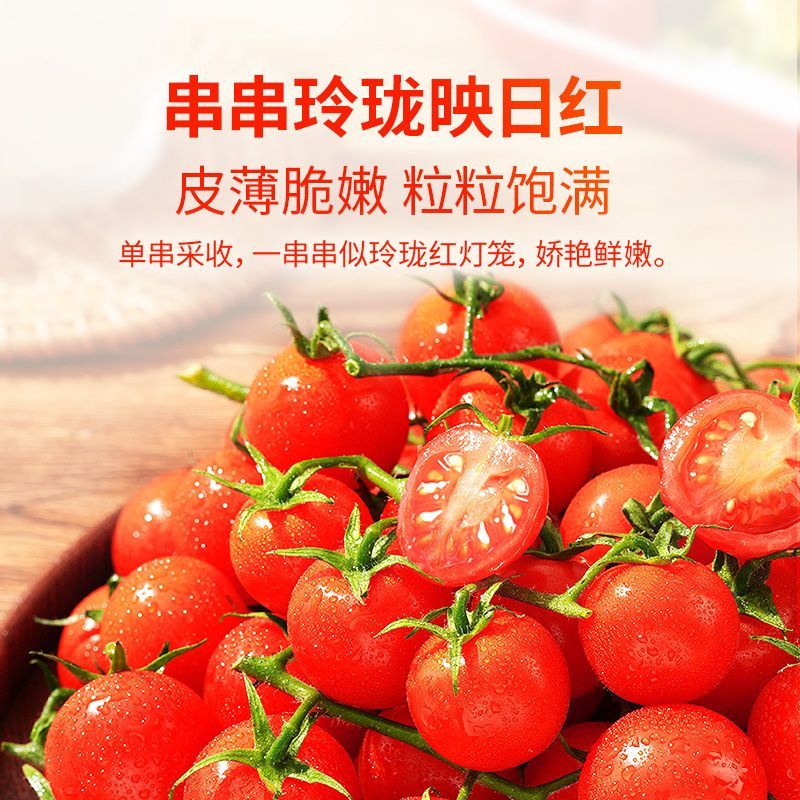 东方甄选串收小番茄(红色) 酸甜多汁 坏果包赔 图片 3