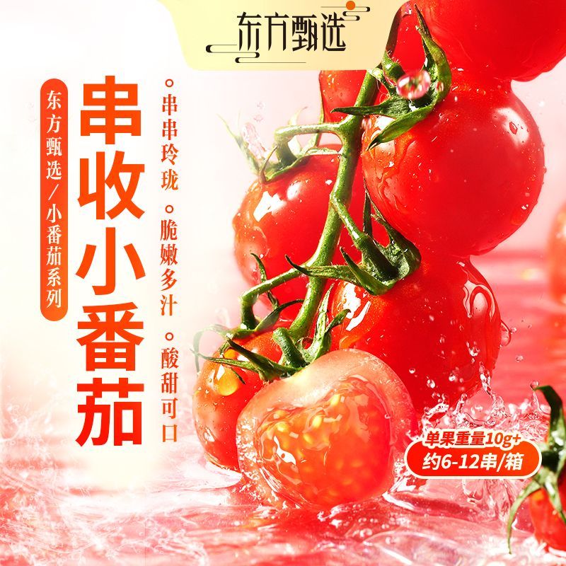 东方甄选串收小番茄(红色) 酸甜多汁 坏果包赔 图片 1