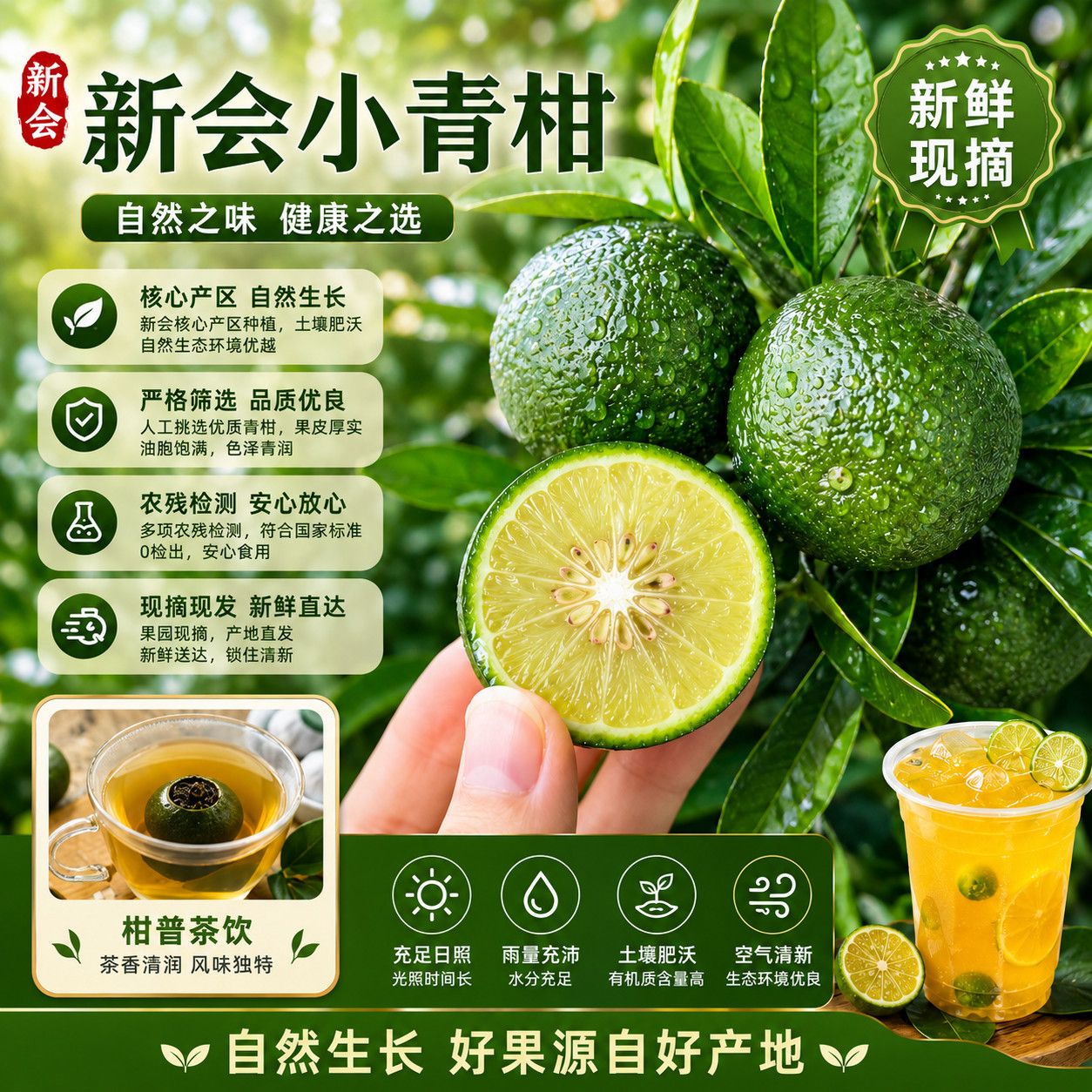 正宗直发广东新会鲜小青柑橘多汁现摘泡茶调饮柑普茶专用鲜果原料