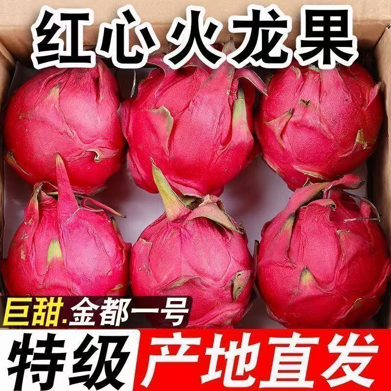 现摘现发正宗广西金都一号红心火龙果新鲜当季孕妇水果火龙果红心
