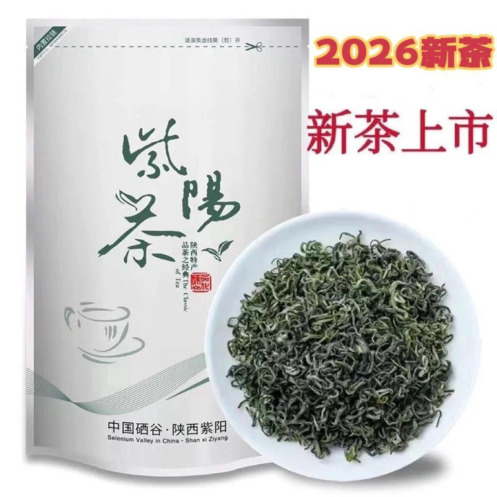 2026年紫阳茶新茶陕西安康高山云雾茶陕南手工炒青绿茶散装口粮茶