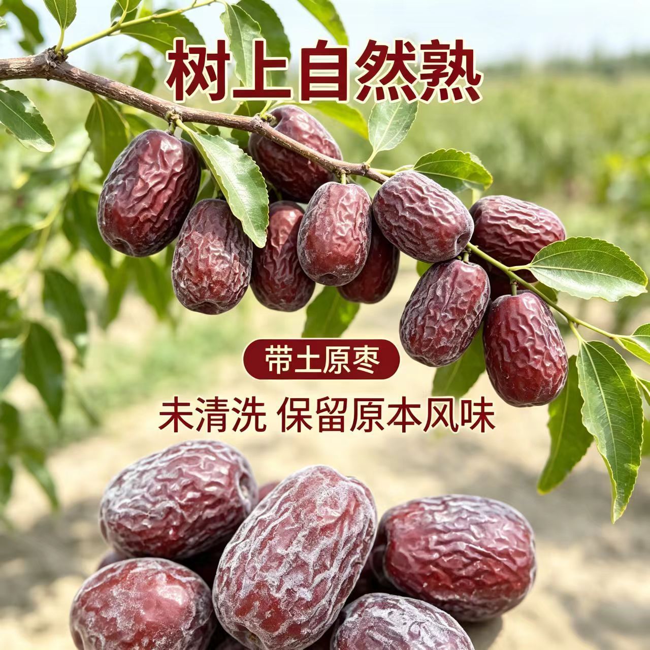 图片[3]|带土红枣原味肉厚核小正品直发带皮大袋|阿克苏华丰果业