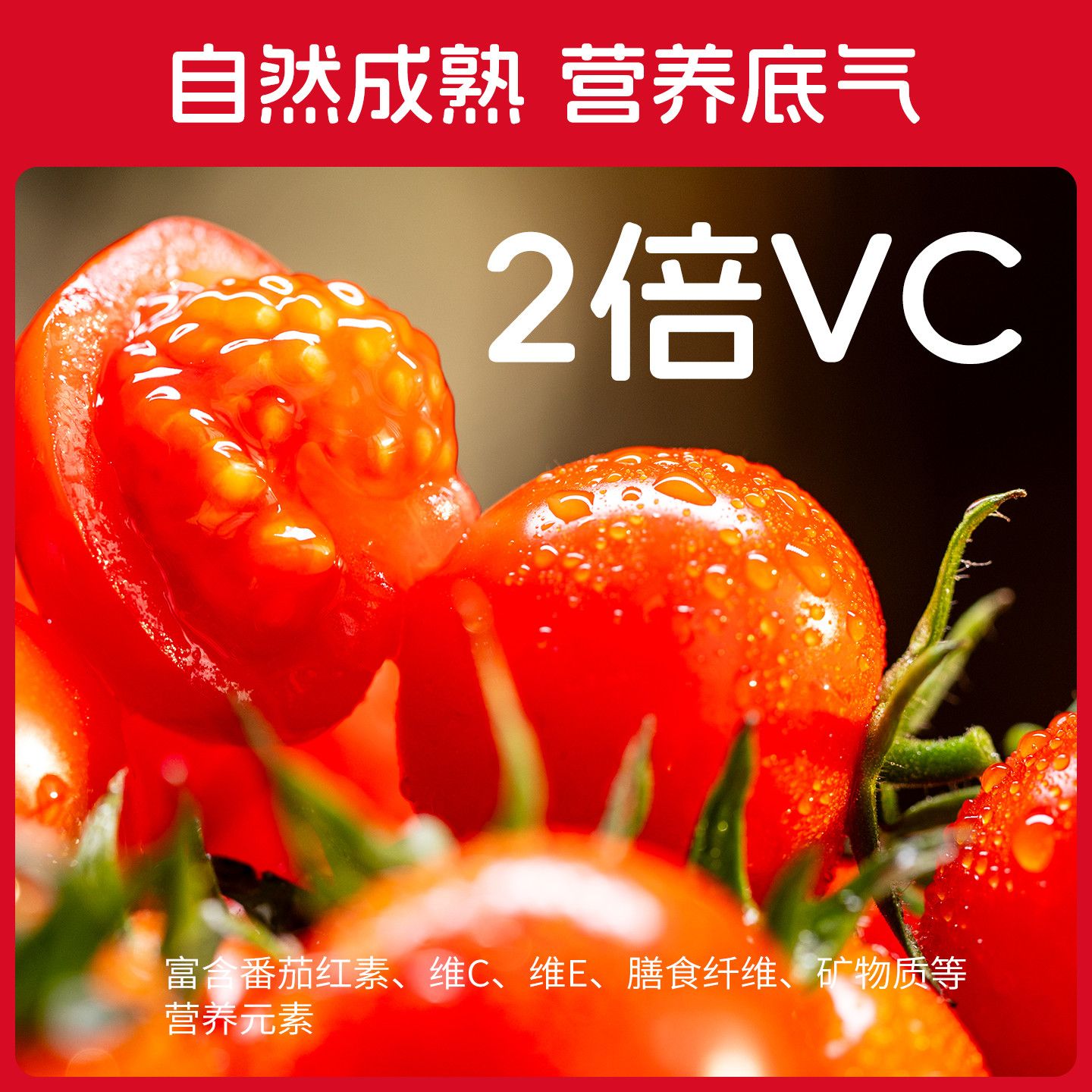 一柿缘带枝串番茄樱桃小番茄红色西红柿自然熟生吃柿子产地直发 图片 8