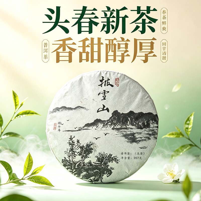 【拍7发8】云南普洱茶披云山生茶饼茶357克春茶头春黄金叶