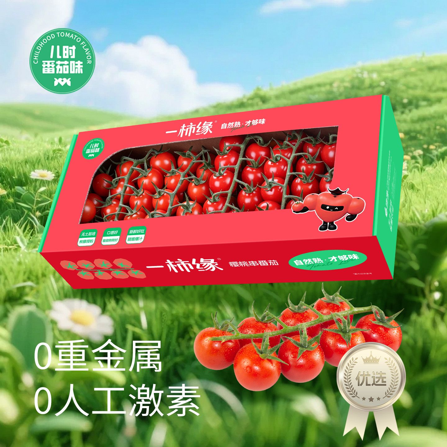 一柿缘带枝串番茄樱桃小番茄红色西红柿自然熟生吃柿子产地直发 图片 1