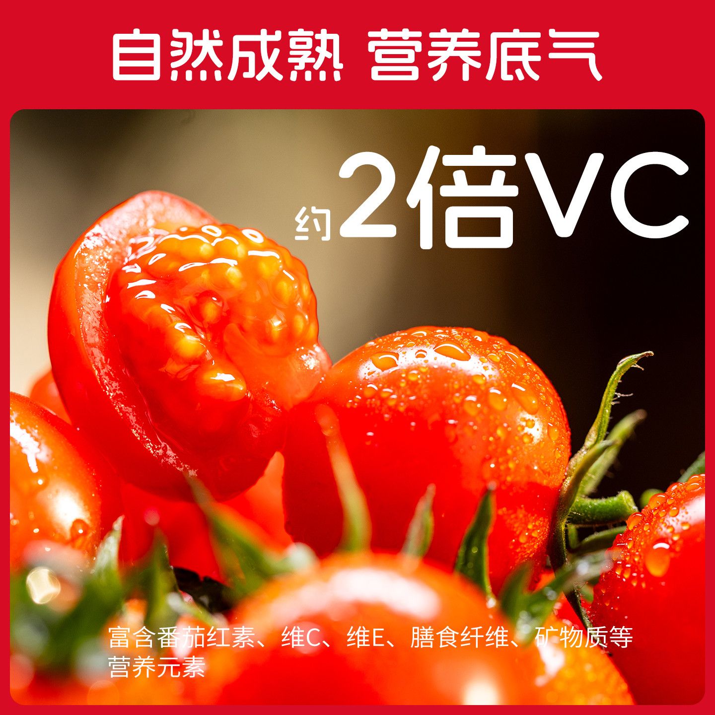 一柿缘整串樱桃小番茄新鲜自然熟孕妇生吃老味道水果小西红柿直发 图片 7