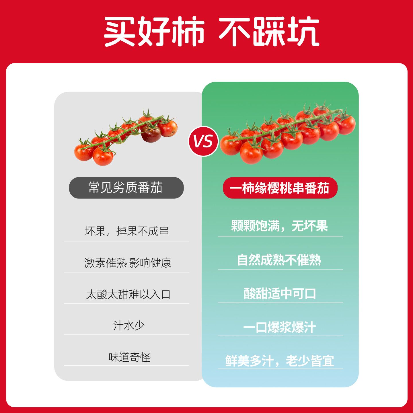 一柿缘整串樱桃小番茄新鲜自然熟孕妇生吃老味道水果小西红柿直发 图片 6