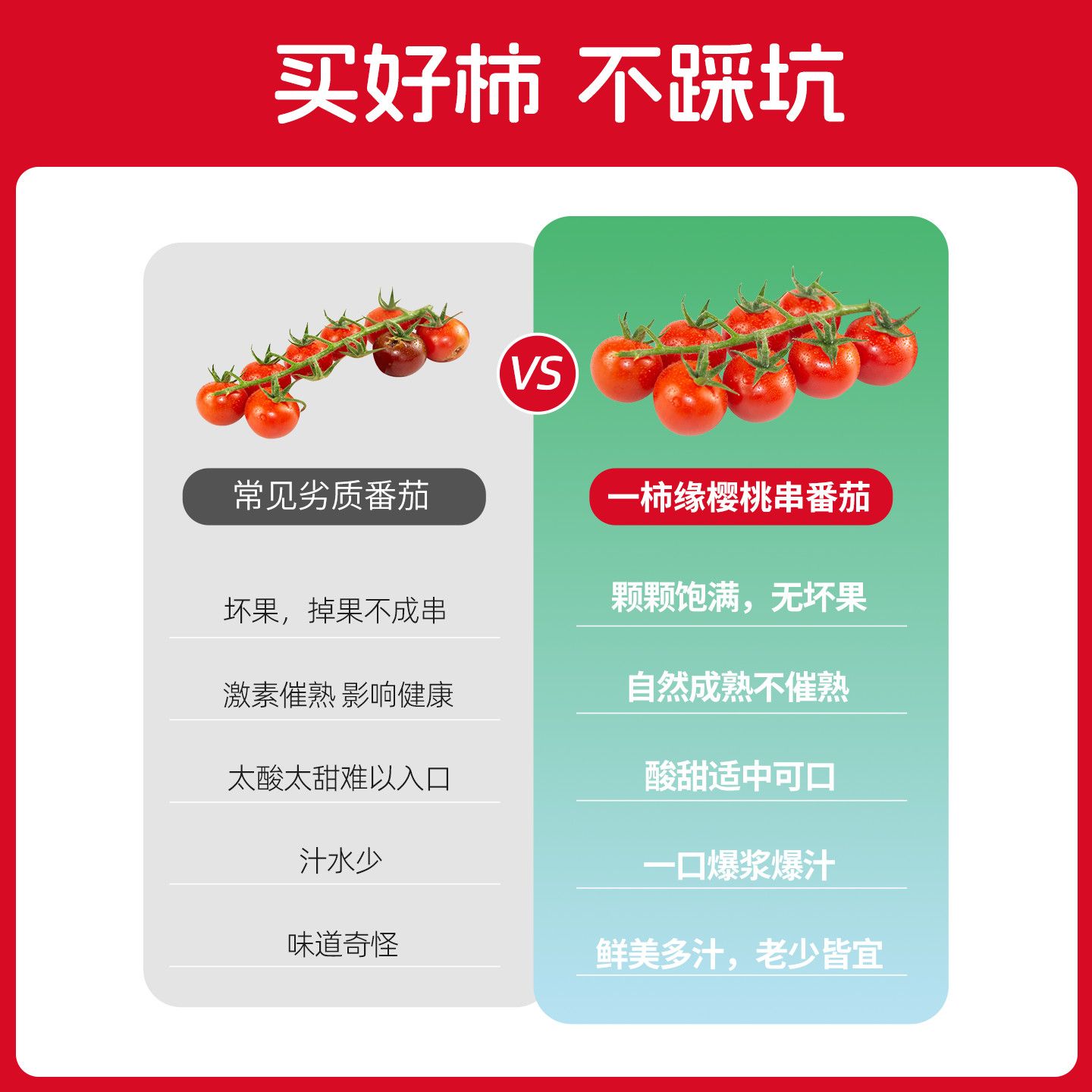 一柿缘串收樱桃小番茄西红柿孕妇生吃柿子 产地直发790g礼盒顺丰 图片 4