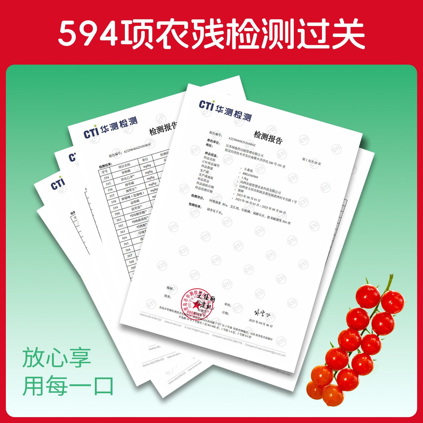 一柿缘整串樱桃小番茄新鲜自然熟孕妇生吃老味道水果小西红柿直发 图片 4