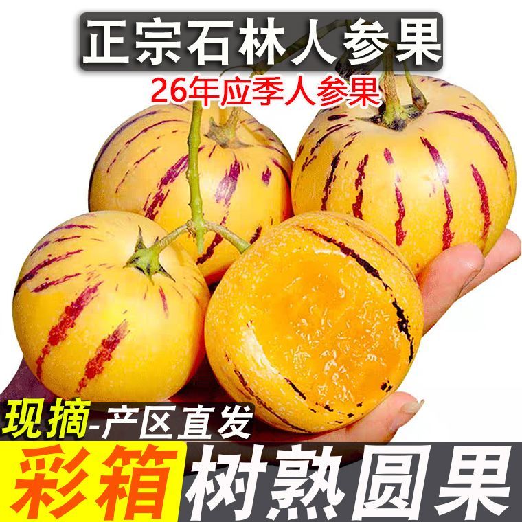 【彩箱】云南石林人参果黄心黄肉圆果超甜应季新鲜水果批发价包邮【7天内发货】