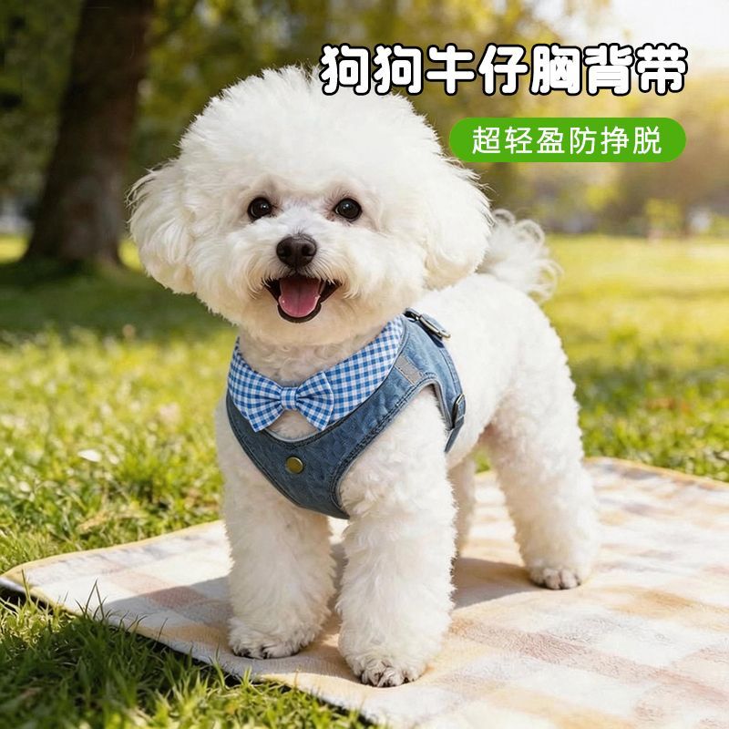 狗狗胸背中小型泰迪比熊柴犬宠物专用牵引绳新款猫咪防挣脱口水巾