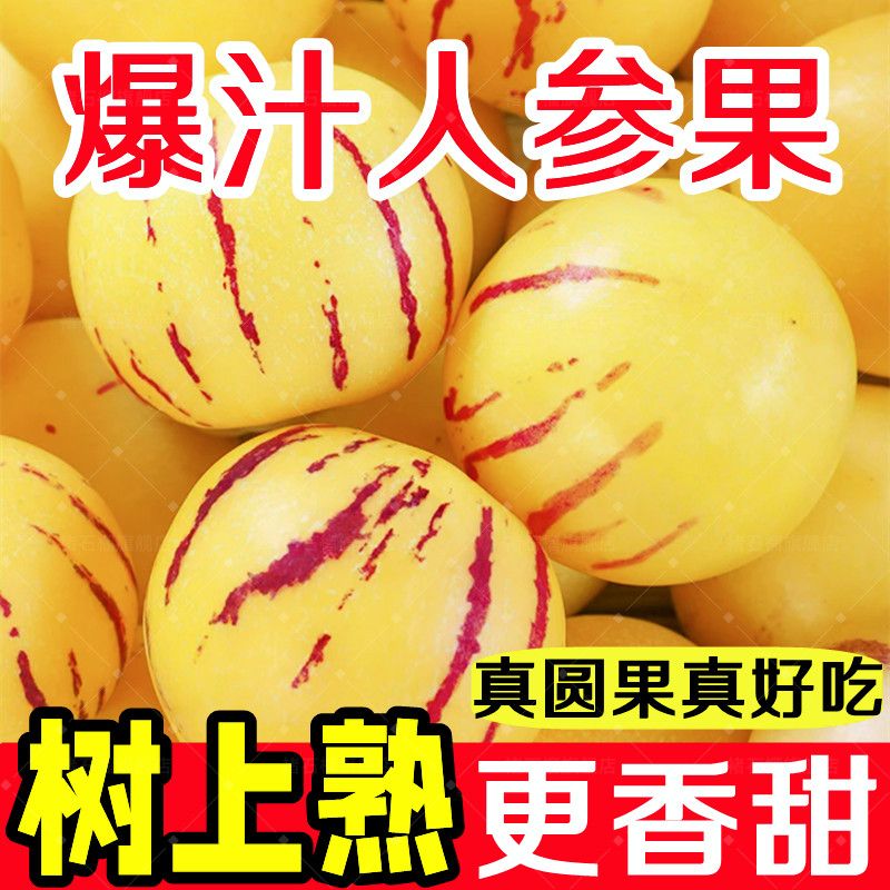 云南石林人参果大圆果当季新鲜应季黄心黄肉人生果水果云南特产
