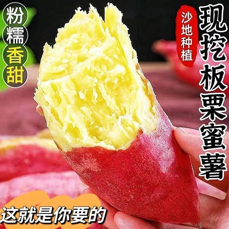 【彩箱】现挖板栗薯当季新鲜番薯陕西秦薯5号红薯应季香薯5斤 图片 2
