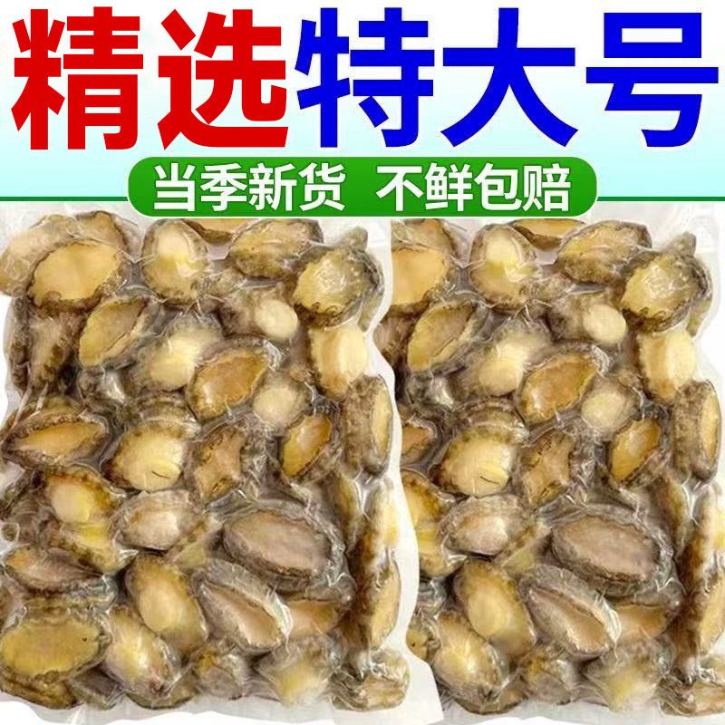 新鲜鲍鱼肉活鲍现剥纯肉去壳去内脏真空包装火锅食材商用顺丰包邮