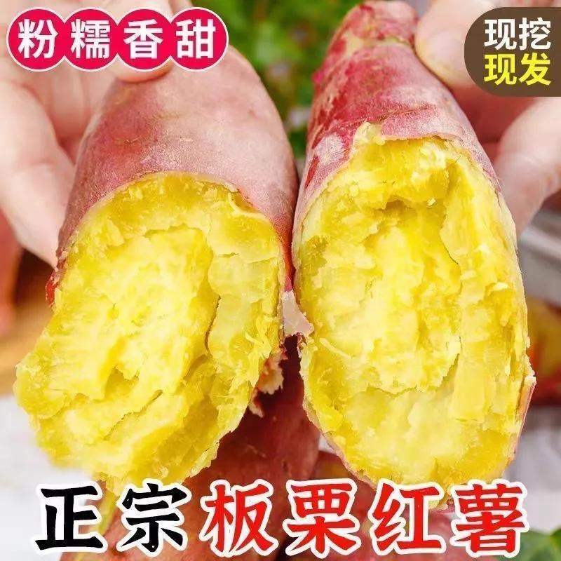 【彩箱】现挖板栗薯当季新鲜番薯陕西秦薯5号红薯应季香薯5斤 图片 4