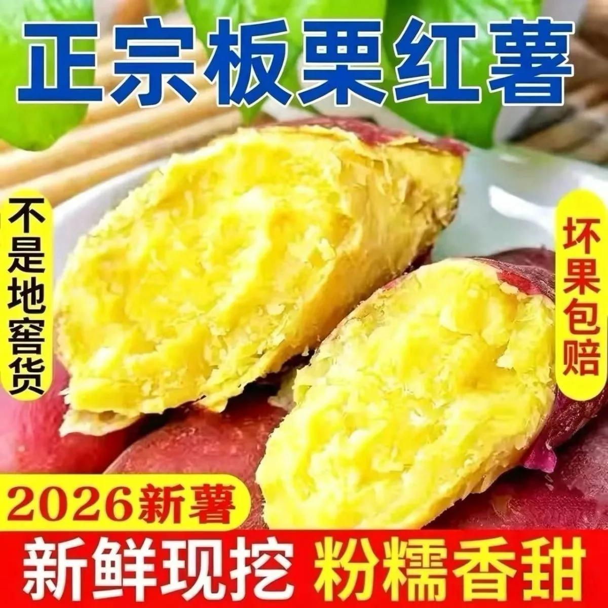 【彩箱】现挖板栗薯当季新鲜番薯陕西秦薯5号红薯应季香薯5斤 图片 3