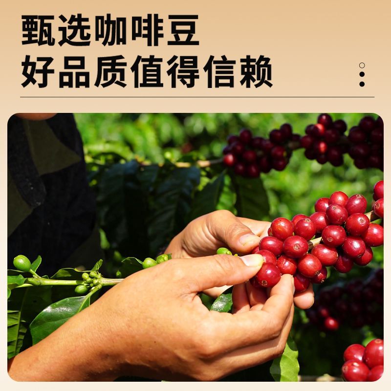 美式特浓黑咖啡速溶云南小粒咖啡0蔗糖0脂低脂速溶黑咖啡粉批发 图 6