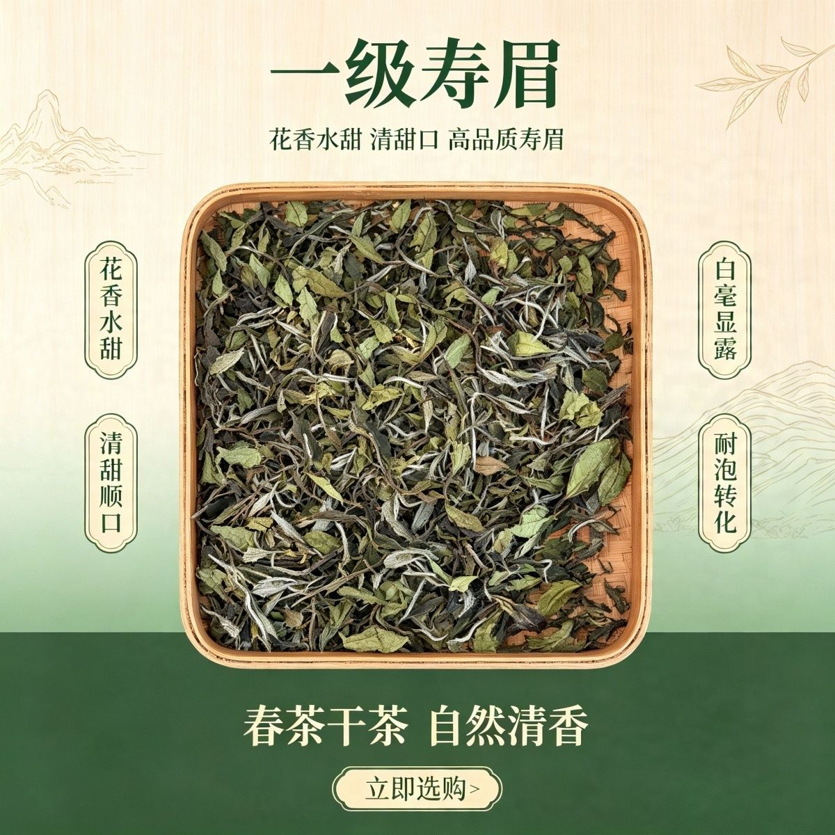福建白茶2025年花香一级寿眉清甜高品质寿眉口粮茶自喝送人
