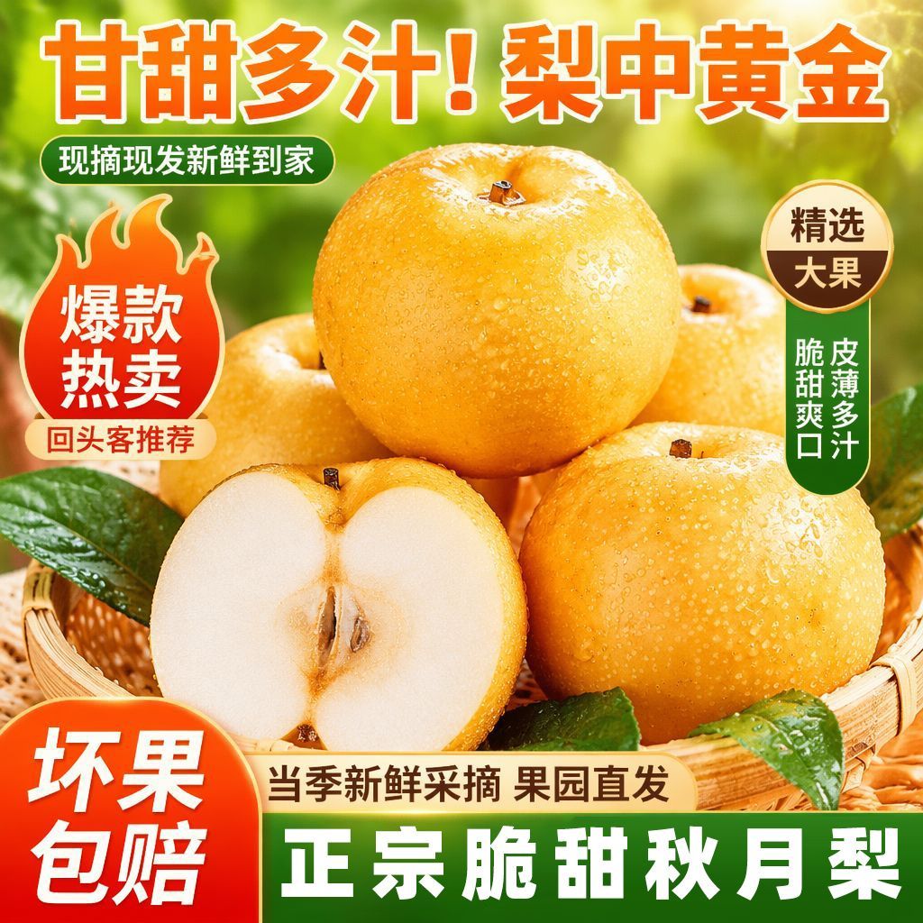 正宗山东秋月梨5斤 14.8元 - 线报酷