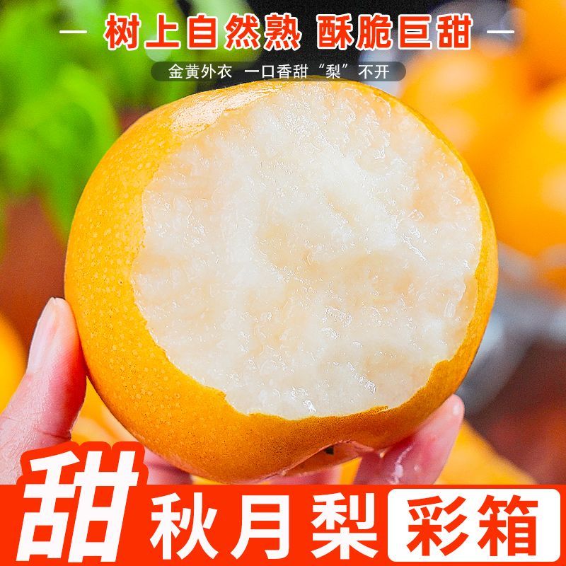 【御品一园】正宗秋月梨新鲜当季水果现摘冰糖梨子整箱3斤250g起