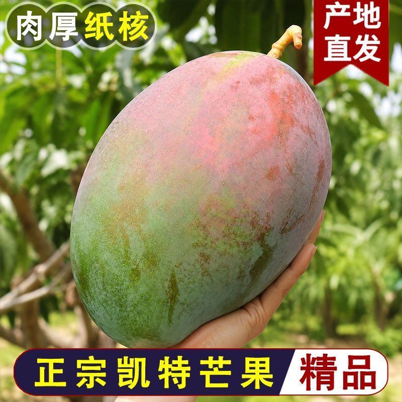 【田满达】攀枝花凯特芒4.5/8.5斤当季新鲜水果青皮芒特大果彩箱