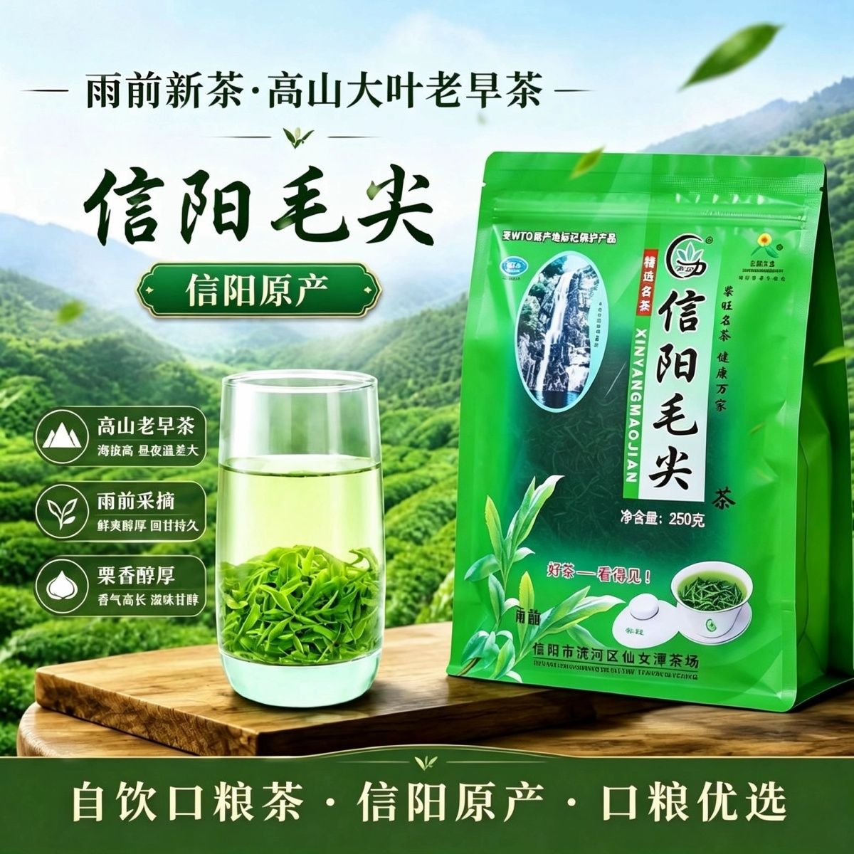 【100g-250g】信阳毛尖2026新茶高山嫩芽袋装浓香耐泡型春茶毛尖