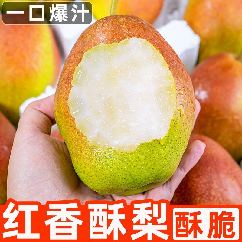 【御品一园】山西红香酥梨新鲜应季水果薄皮梨子香梨酥脆整箱包邮
