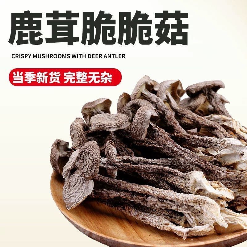 极鲜姑净重鹿茸菇250g干货整根鹿茸菌菇火锅食材鹿耳菇批发虫草炖 图片 5