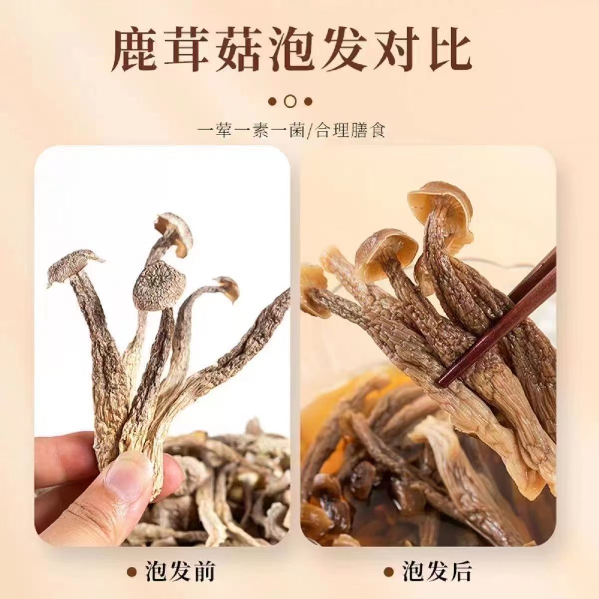 【一斤装】净重鹿茸菇干货整根鹿茸菌农家鹿耳菇批发商用煲汤食材 图片 8