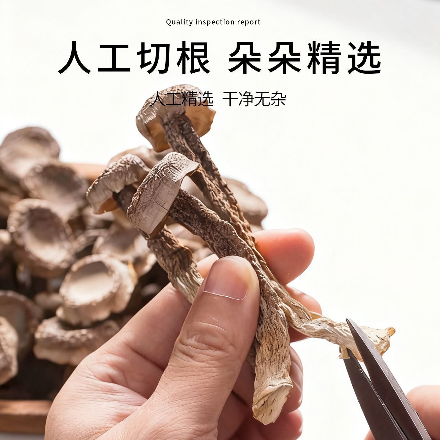极鲜姑净重鹿茸菇250g干货整根鹿茸菌菇火锅食材鹿耳菇批发虫草炖 图片 6