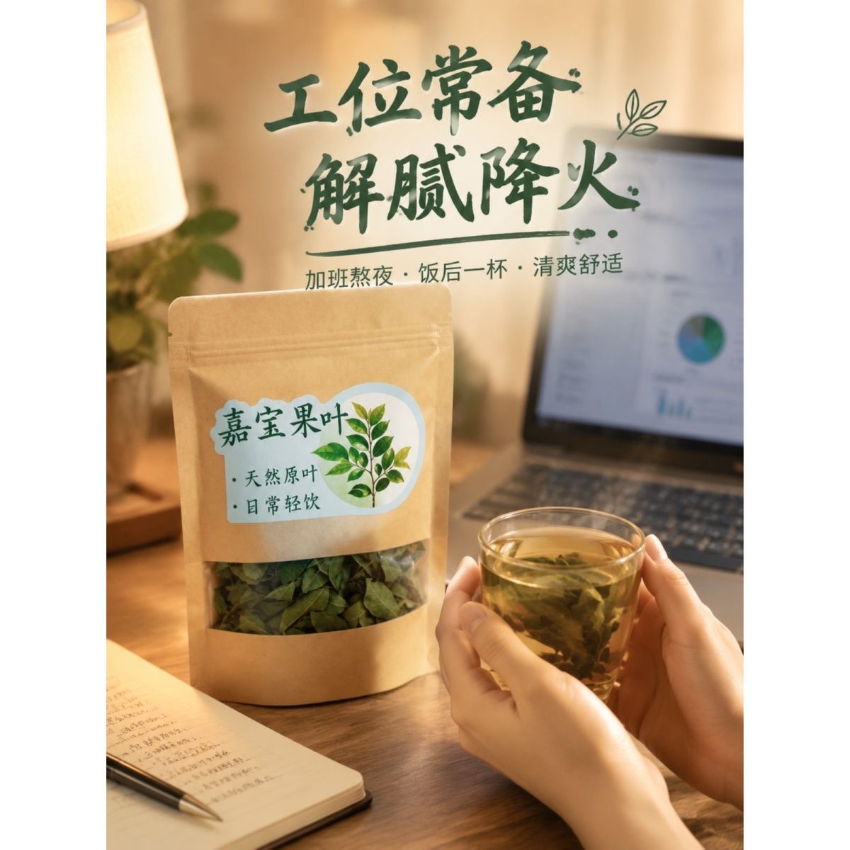 嘉宝果叶茶天然原叶高山采摘养生新款四季叶茶