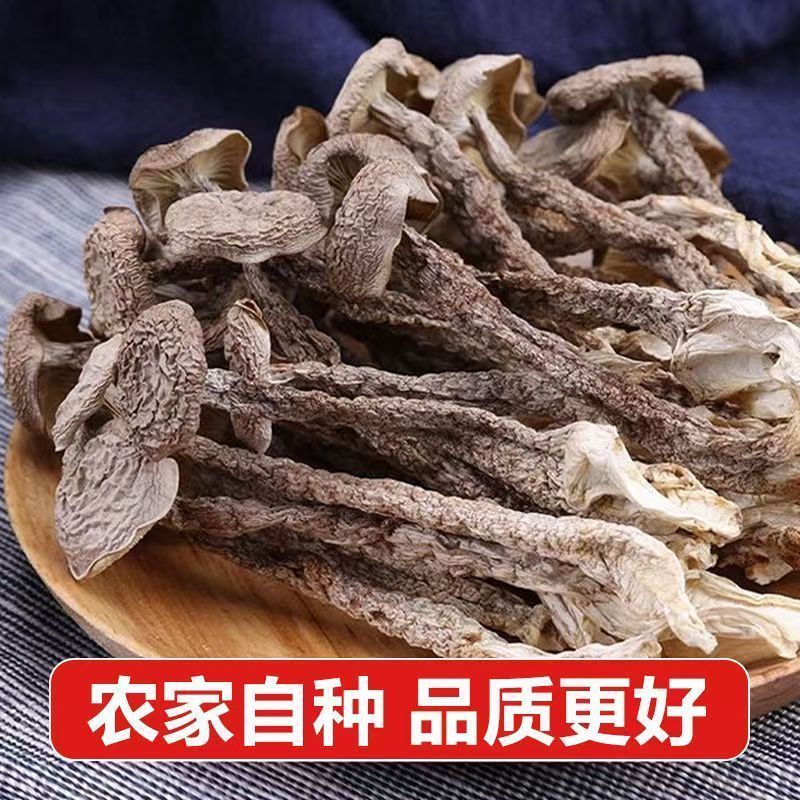 【一斤装】净重鹿茸菇干货整根鹿茸菌农家鹿耳菇批发商用煲汤食材 图片 5