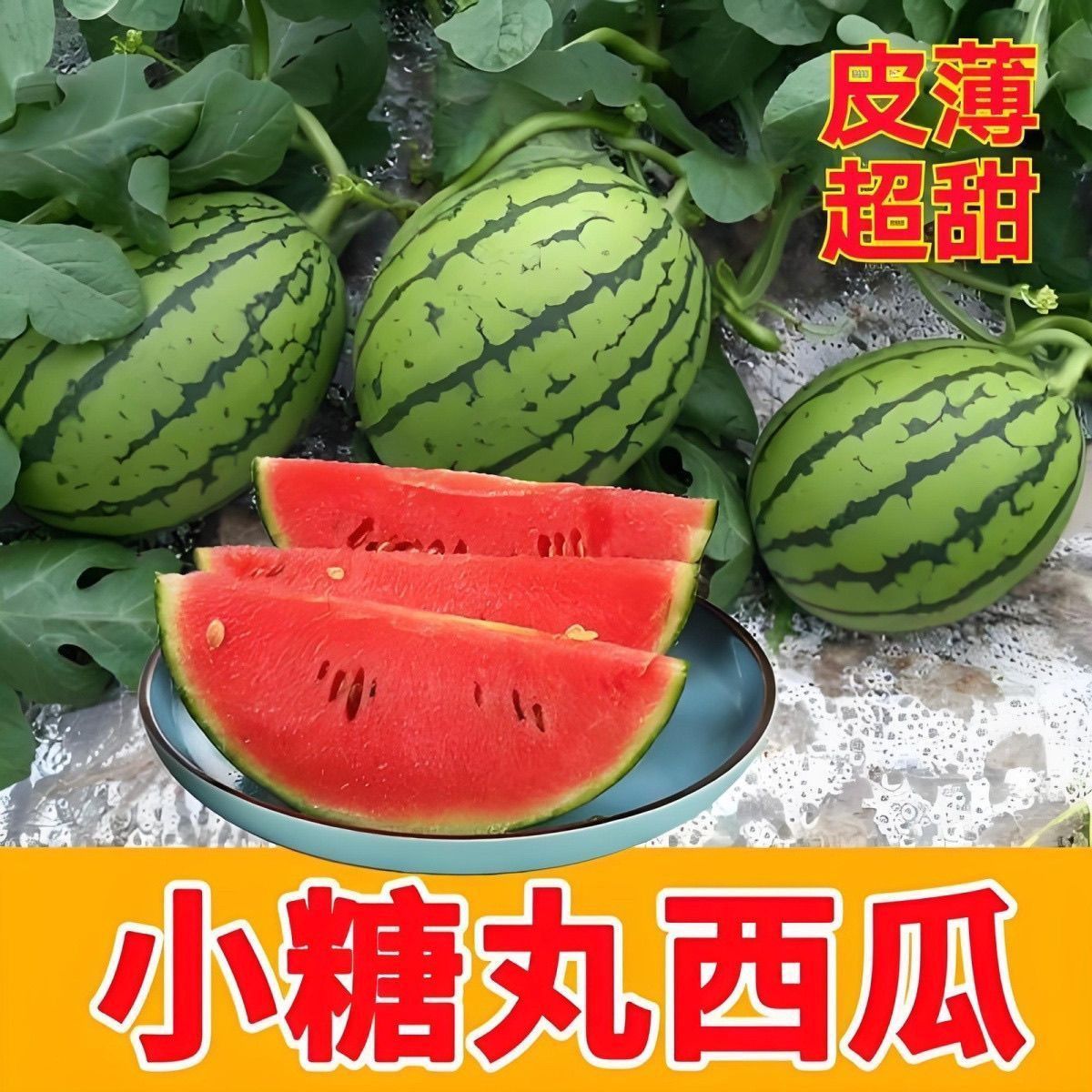 爆甜2K小糖丸西瓜薄皮脆甜多汁手剥皮当季新鲜水果现摘产地直发