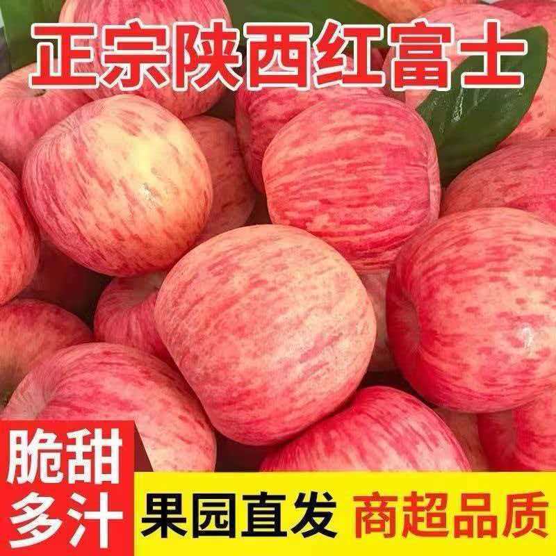 【正宗】陕西红富士苹果脆甜当季新鲜苹果冰糖心孕妇水果整箱批发